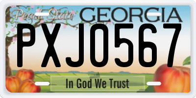 GA license plate PXJ0567