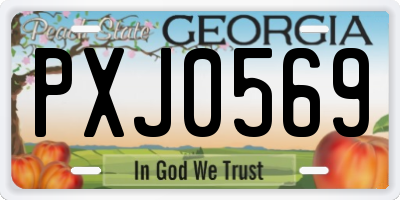 GA license plate PXJ0569