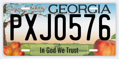 GA license plate PXJ0576