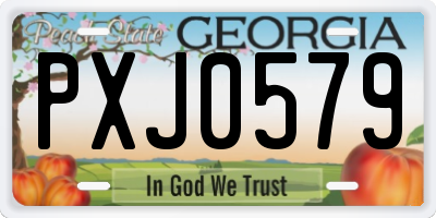 GA license plate PXJ0579