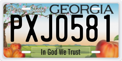 GA license plate PXJ0581