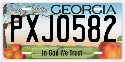 GA license plate PXJ0582