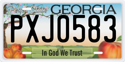GA license plate PXJ0583