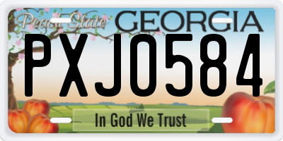 GA license plate PXJ0584