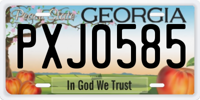 GA license plate PXJ0585