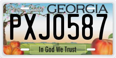 GA license plate PXJ0587
