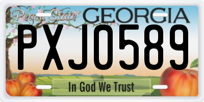 GA license plate PXJ0589