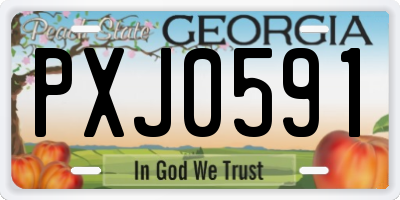 GA license plate PXJ0591