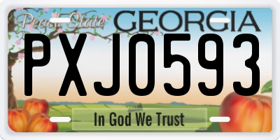 GA license plate PXJ0593