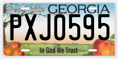 GA license plate PXJ0595