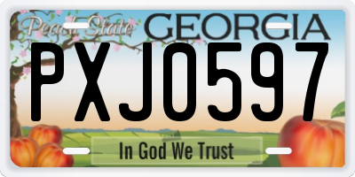 GA license plate PXJ0597