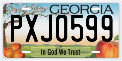 GA license plate PXJ0599