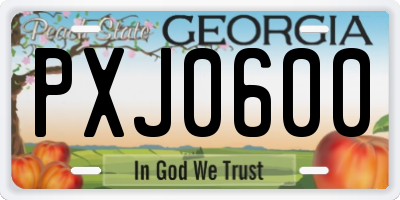 GA license plate PXJ0600