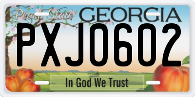 GA license plate PXJ0602