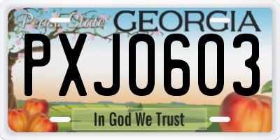 GA license plate PXJ0603
