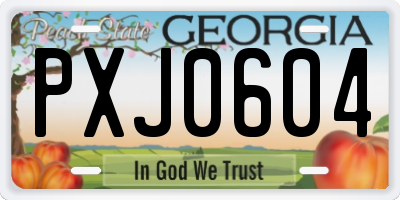GA license plate PXJ0604