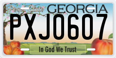 GA license plate PXJ0607