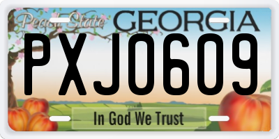 GA license plate PXJ0609