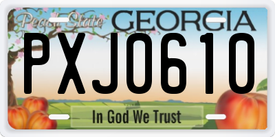 GA license plate PXJ0610
