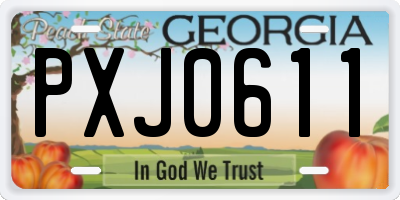 GA license plate PXJ0611