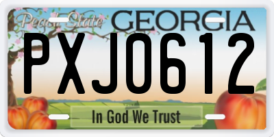 GA license plate PXJ0612