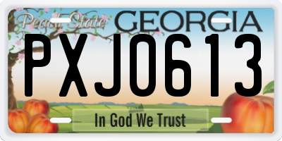 GA license plate PXJ0613