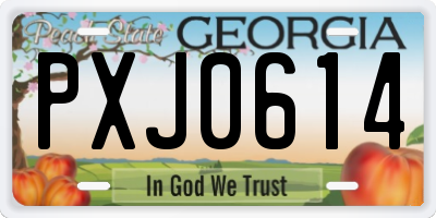 GA license plate PXJ0614