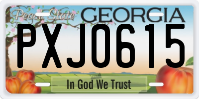 GA license plate PXJ0615