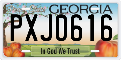 GA license plate PXJ0616