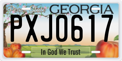 GA license plate PXJ0617