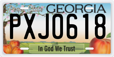 GA license plate PXJ0618