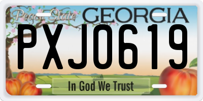 GA license plate PXJ0619