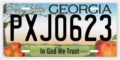 GA license plate PXJ0623