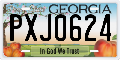 GA license plate PXJ0624
