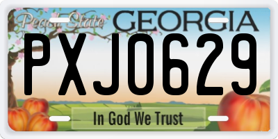 GA license plate PXJ0629