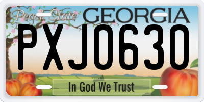 GA license plate PXJ0630