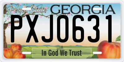 GA license plate PXJ0631