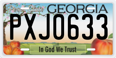 GA license plate PXJ0633
