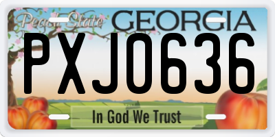 GA license plate PXJ0636