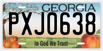 GA license plate PXJ0638