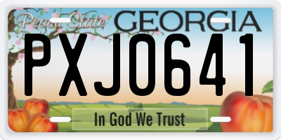 GA license plate PXJ0641