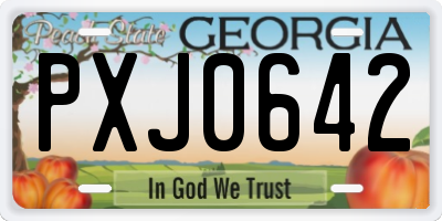 GA license plate PXJ0642