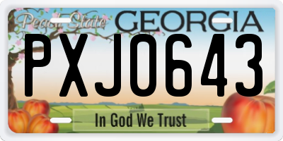 GA license plate PXJ0643