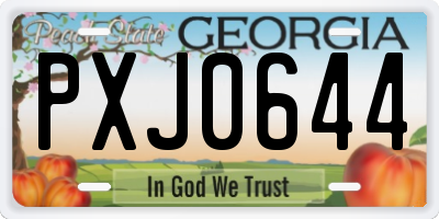 GA license plate PXJ0644