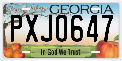 GA license plate PXJ0647