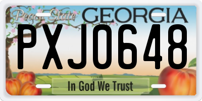 GA license plate PXJ0648