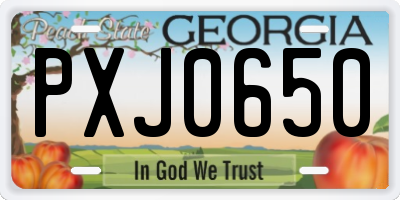 GA license plate PXJ0650