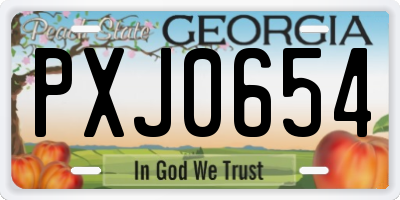 GA license plate PXJ0654