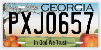 GA license plate PXJ0657