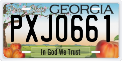 GA license plate PXJ0661